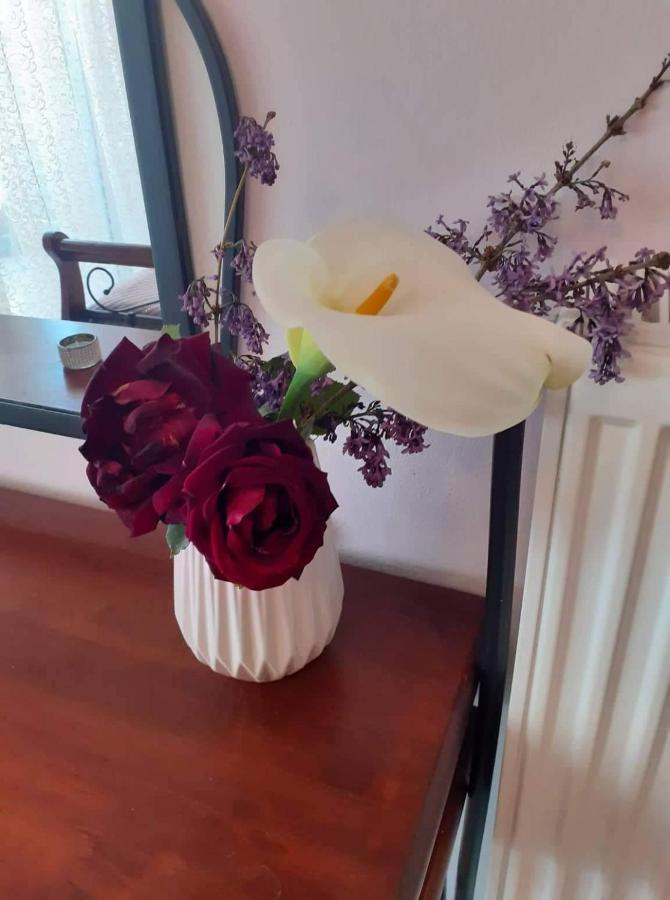 Old City Apartment فولوس المظهر الخارجي الصورة